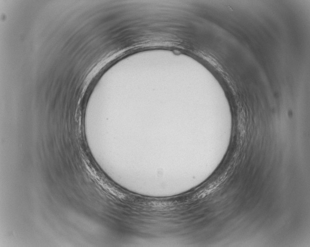 X0000052610933200507292145