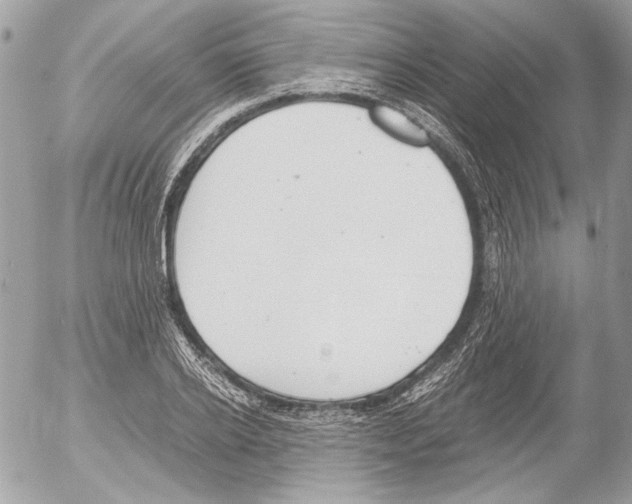 X0000052610934200507292145