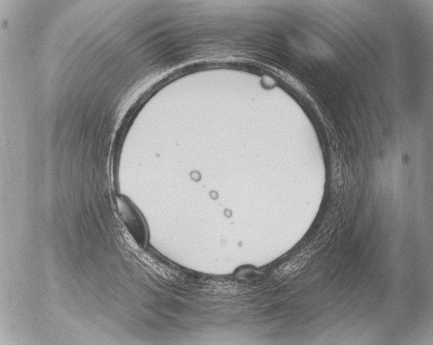 X0000052610935200507292145