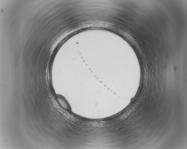 X0000052610936200507292145