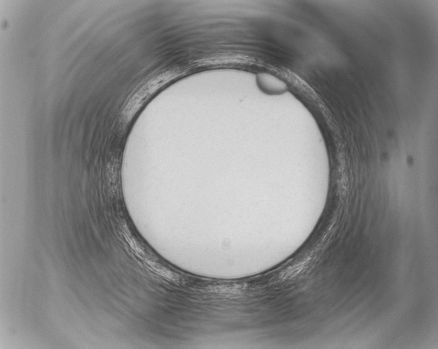 X0000052610937200507292145