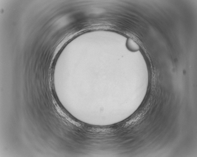 X0000052610941200507292145