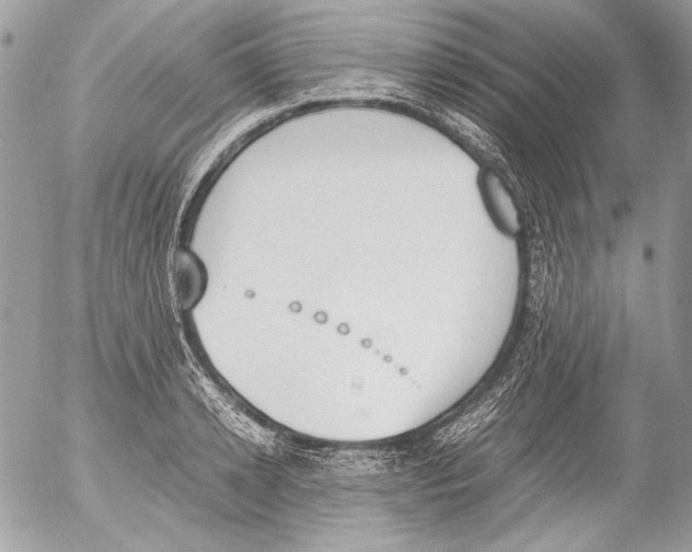 X0000052610942200507292145