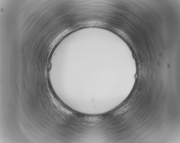 X0000052610946200507292145