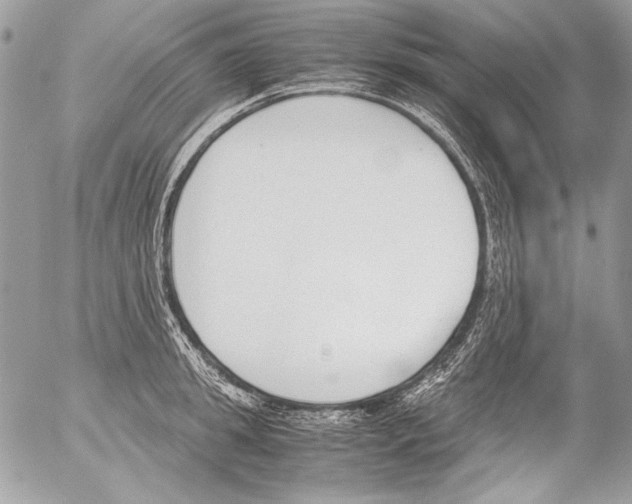 X0000052610949200507292145