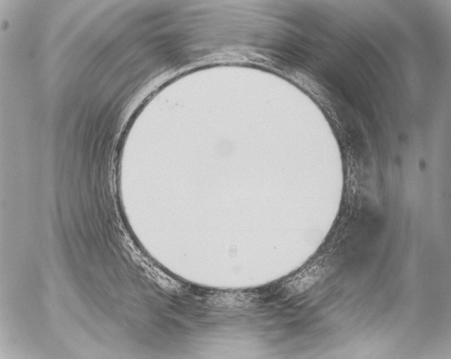 X0000052610950200507292145