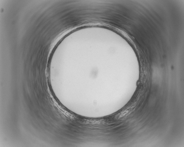 X0000052610951200507292145