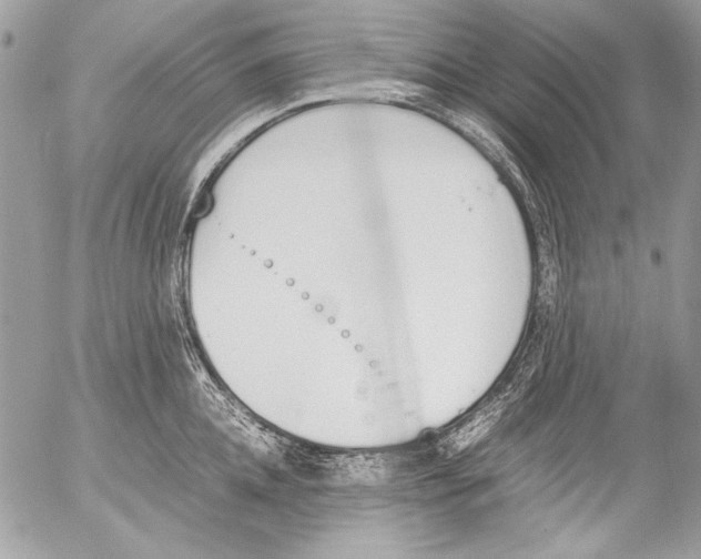 X0000052610952200507292145