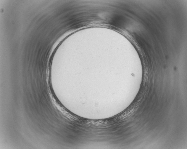 X0000052610955200507292145