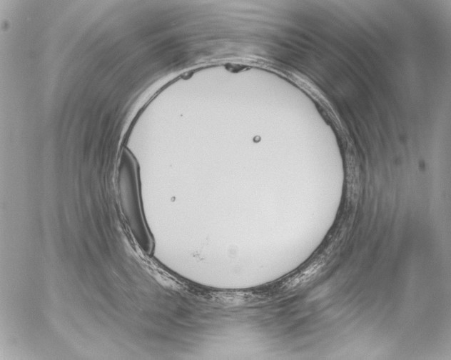 X0000052610956200507292145