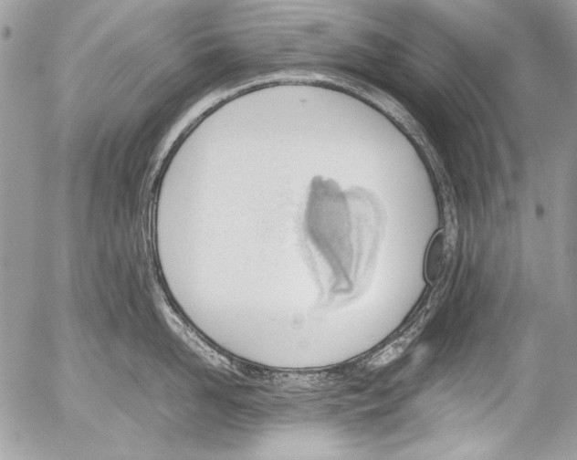 X0000052610958200507292145