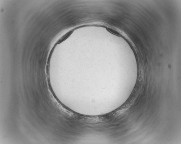 X0000052610959200507292145