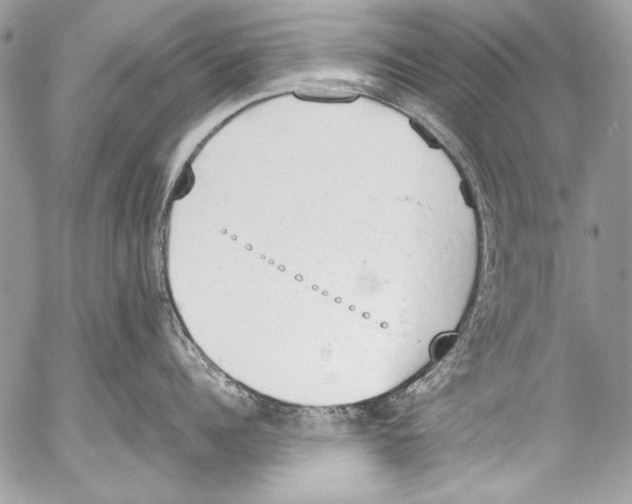 X0000052610960200507292145