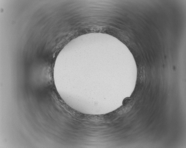 X0000052610962200507292145