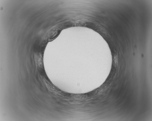 X0000052610963200507292145