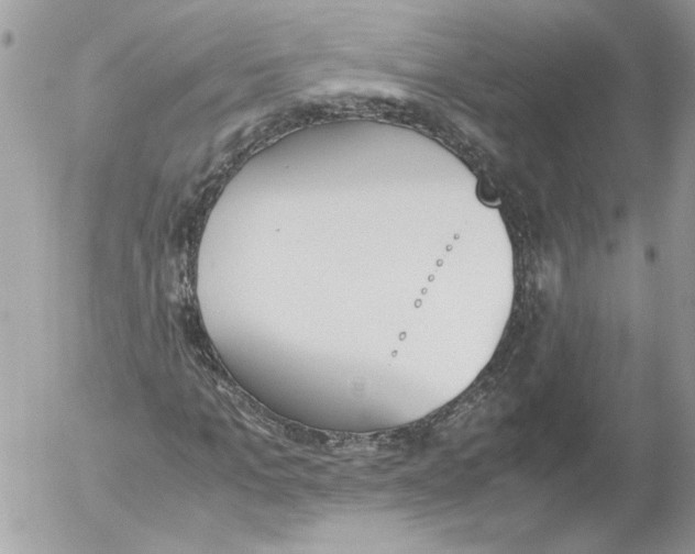 X0000052610965200507292145