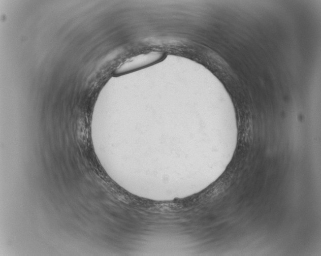 X0000052610966200507292145