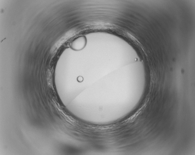 X0000052610970200507292144