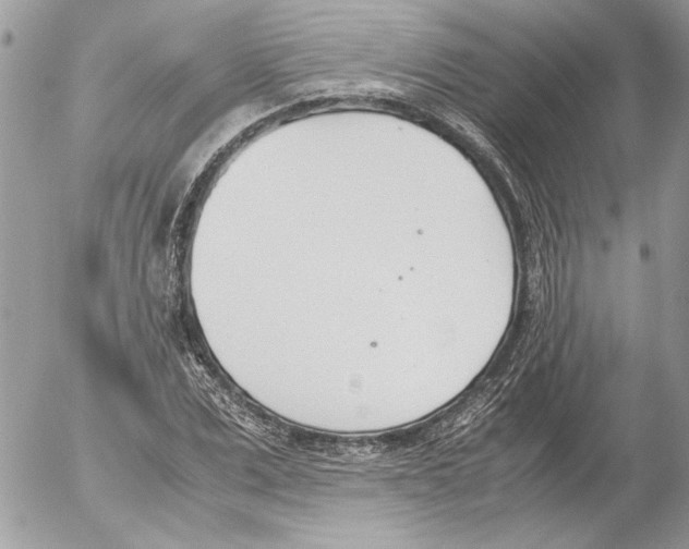 X0000052610975200507292144