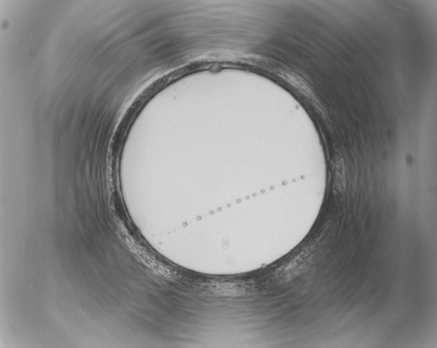 X0000052610976200507292144