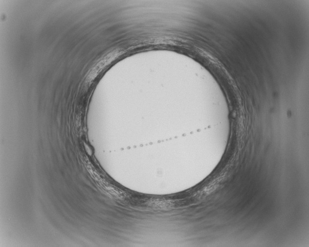 X0000052610977200507292144