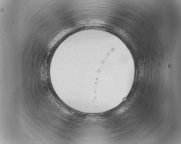 X0000052610978200507292144