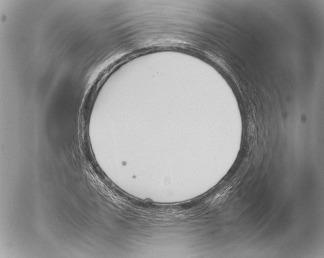 X0000052610979200507292144