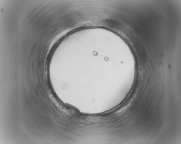 X0000052610981200507292144