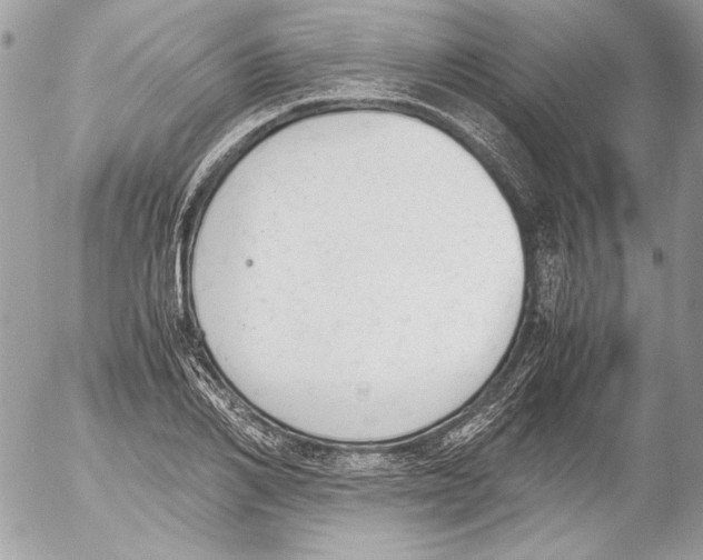 X0000052610982200507292144