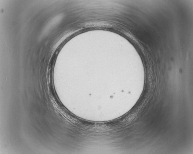 X0000052610983200507292144