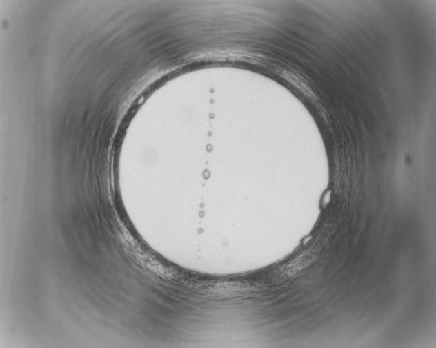 X0000052610984200507292144