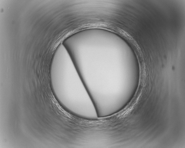 X0000052610985200507292144