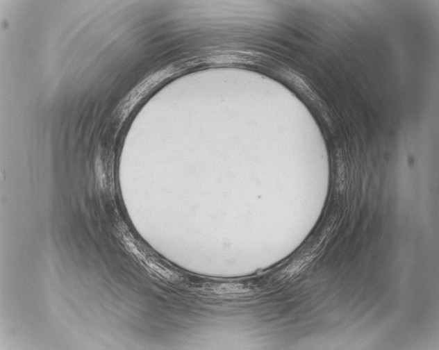 X0000052610986200507292144