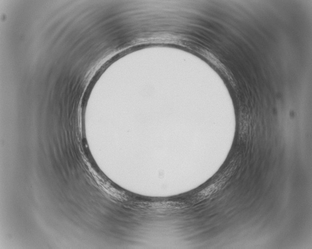 X0000052610988200507292144