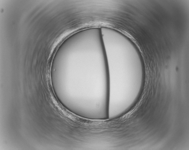 X0000052610989200507292144