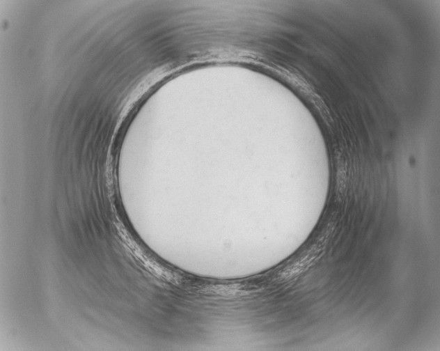 X0000052610990200507292144