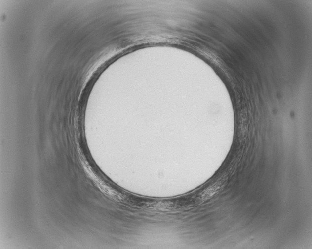 X0000052610991200507292144