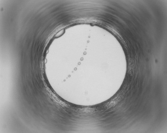 X0000052610992200507292144