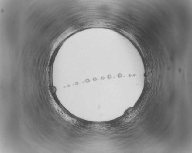 X0000052610995200507292144