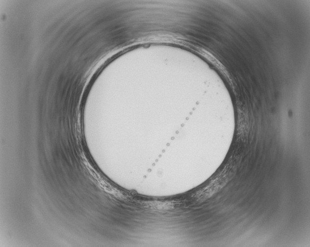 X0000052610996200507292144