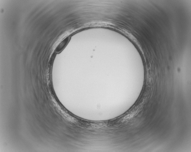 X0000052610997200507292144