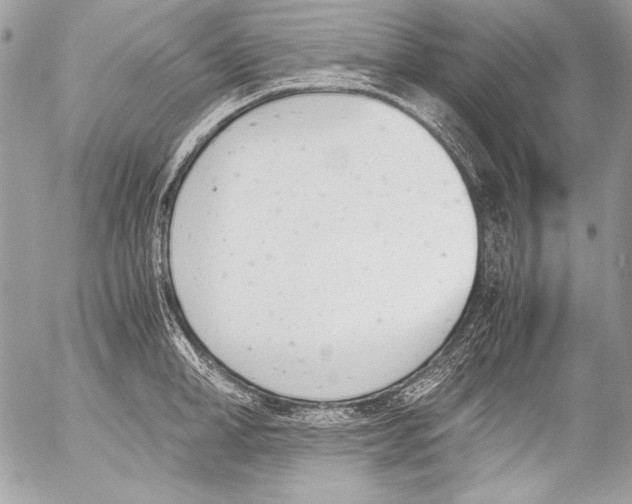 X0000052610998200507292144