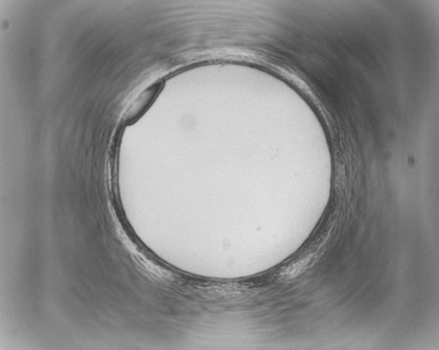 X0000052610999200507292144