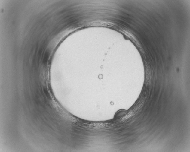 X0000052611000200507292144