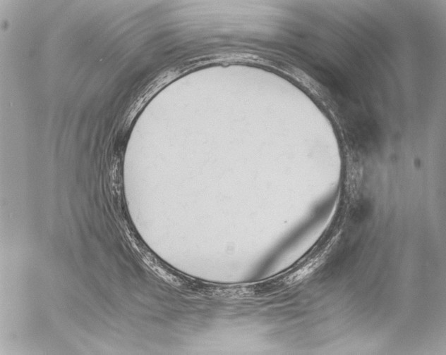 X0000052611001200507292144