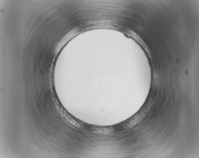 X0000052611002200507292144