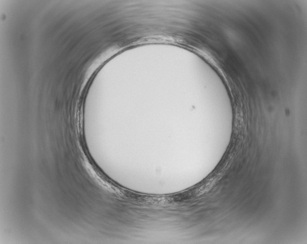 X0000052611003200507292144