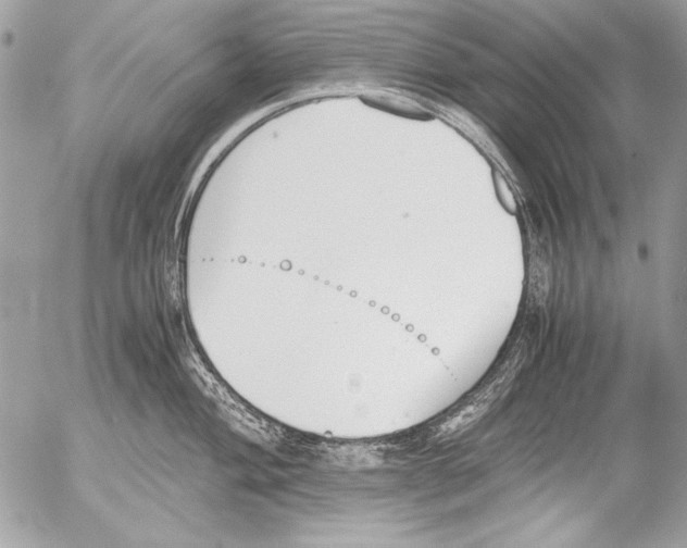 X0000052611004200507292144