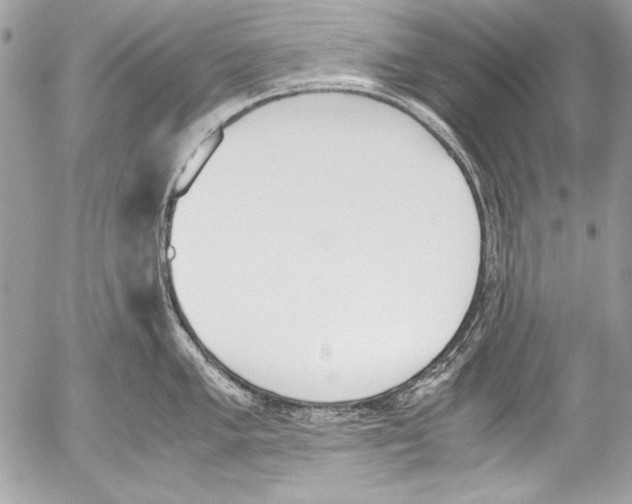 X0000052611005200507292144