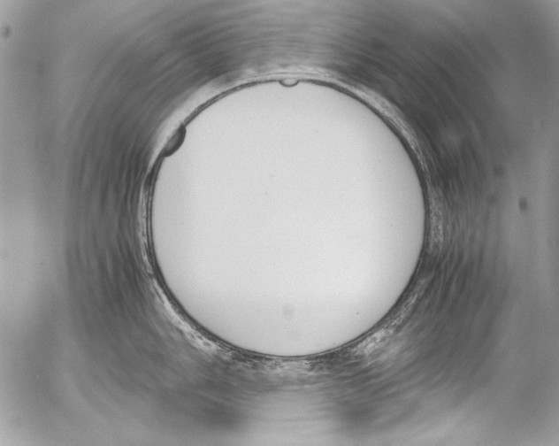 X0000052611006200507292144